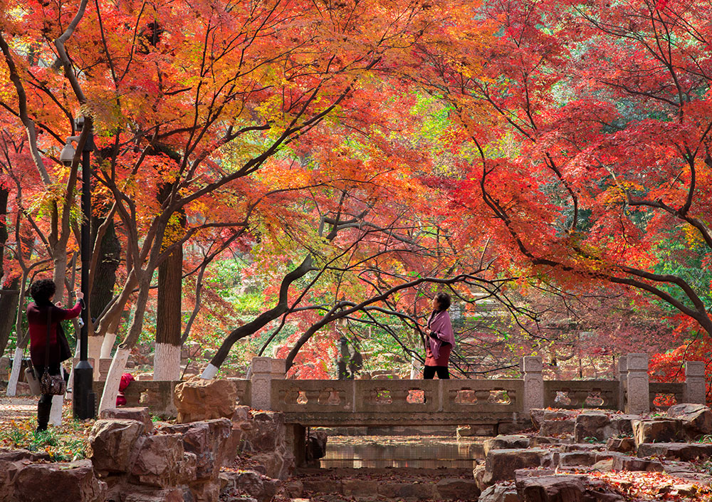 虞山紅楓節(jié).jpg