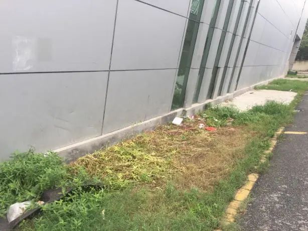 微信圖片_20200720183908.jpg